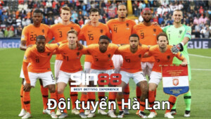 Đội hình Hà Lan Euro 2024 mới được triệu tập