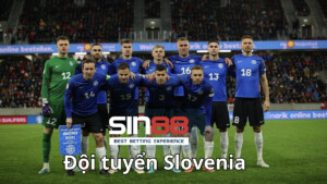 Tổng quan về đội bóng Slovenia 