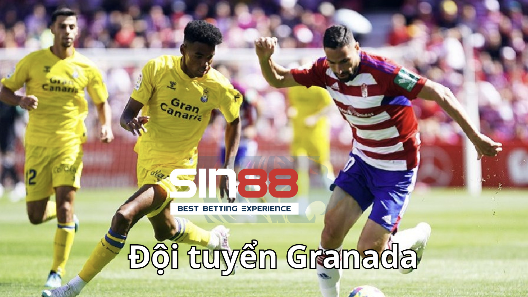Thỏa thuận giữa Granada và Udinese