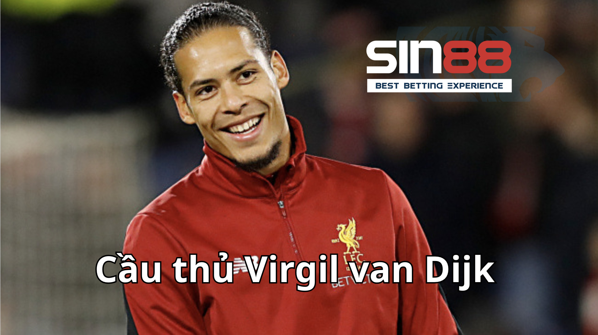 Virgil van Dijk tại đội tuyển Liverpool