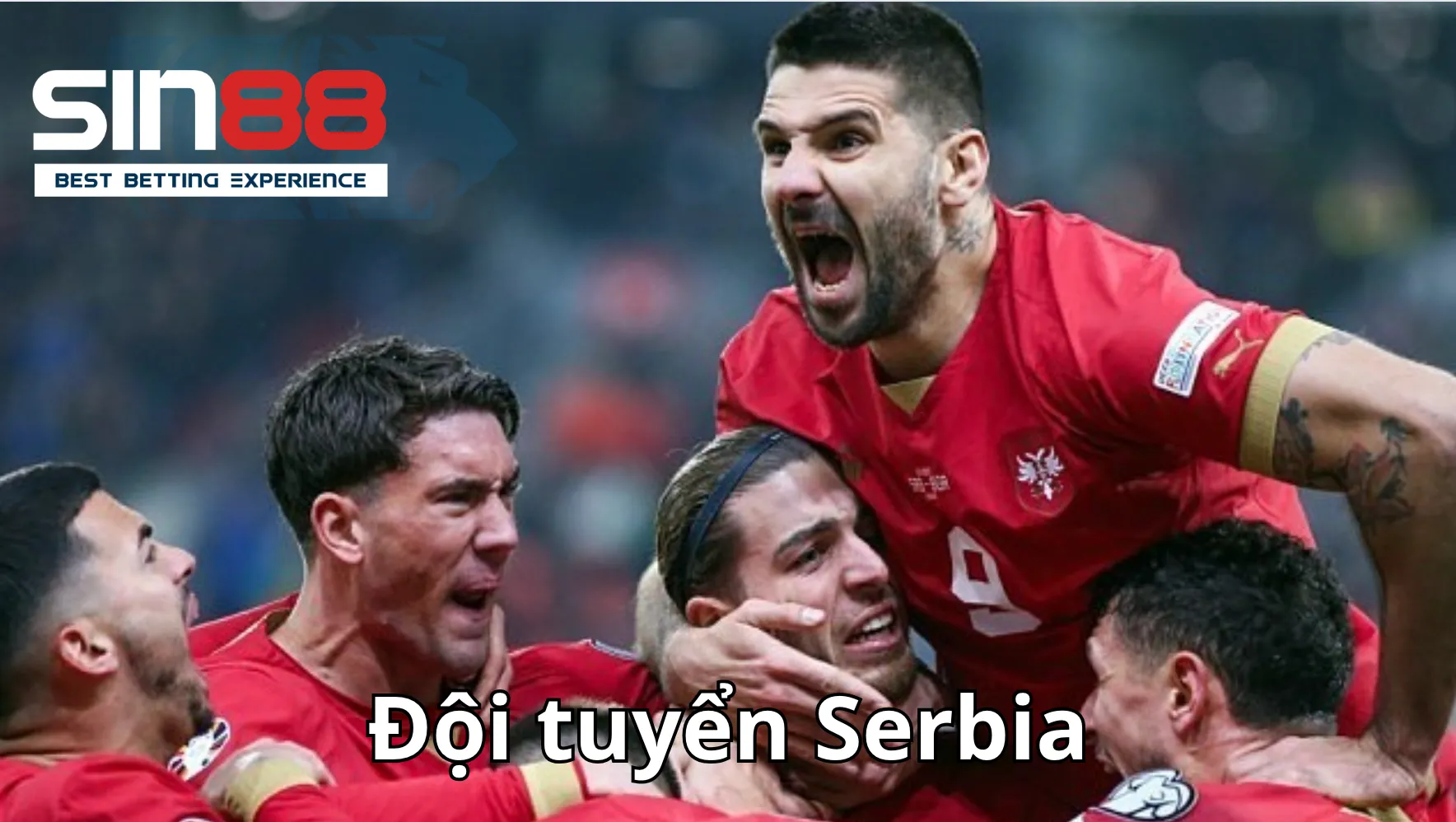 Thông tin lịch thi đấu và đội hình Serbia tại Euro 2024